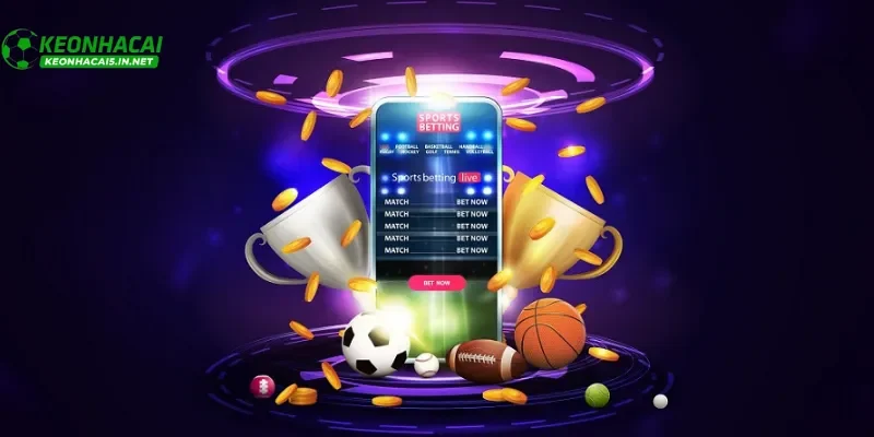 Cách kiểm tra giấy phép nhà cái uy tín