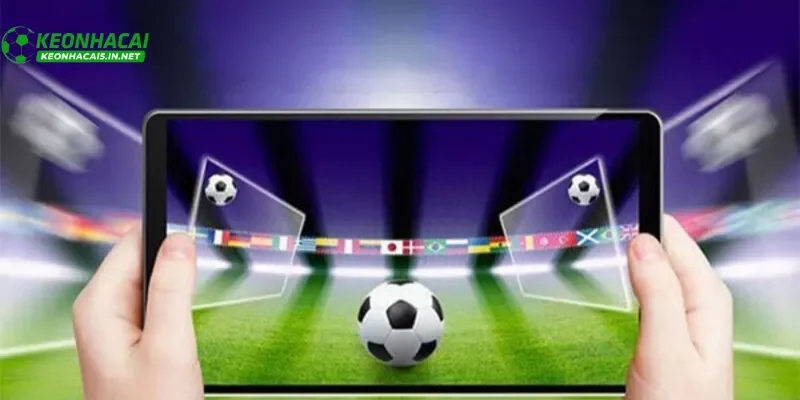 cá cược bóng đá